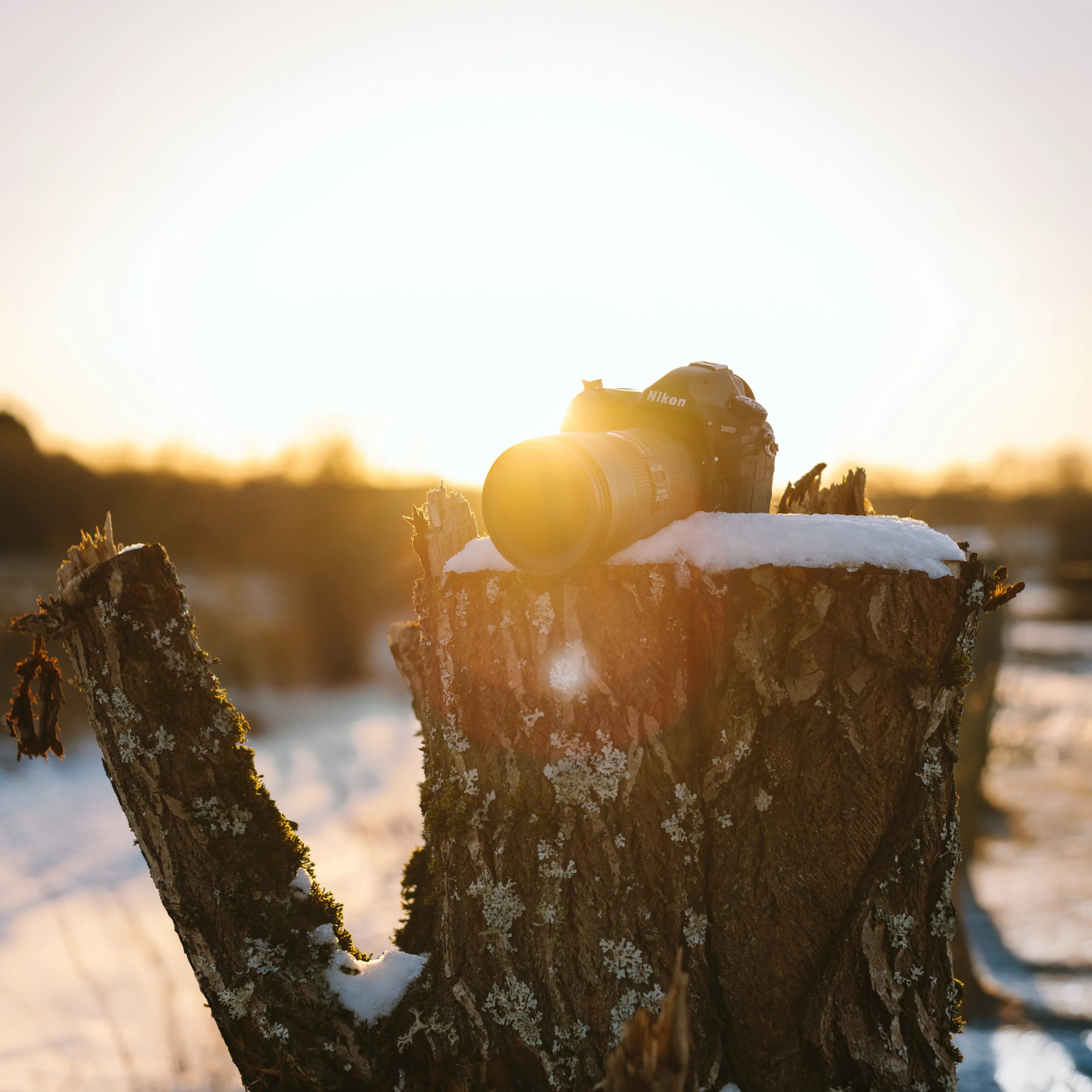 Fotograf Design Westerwald