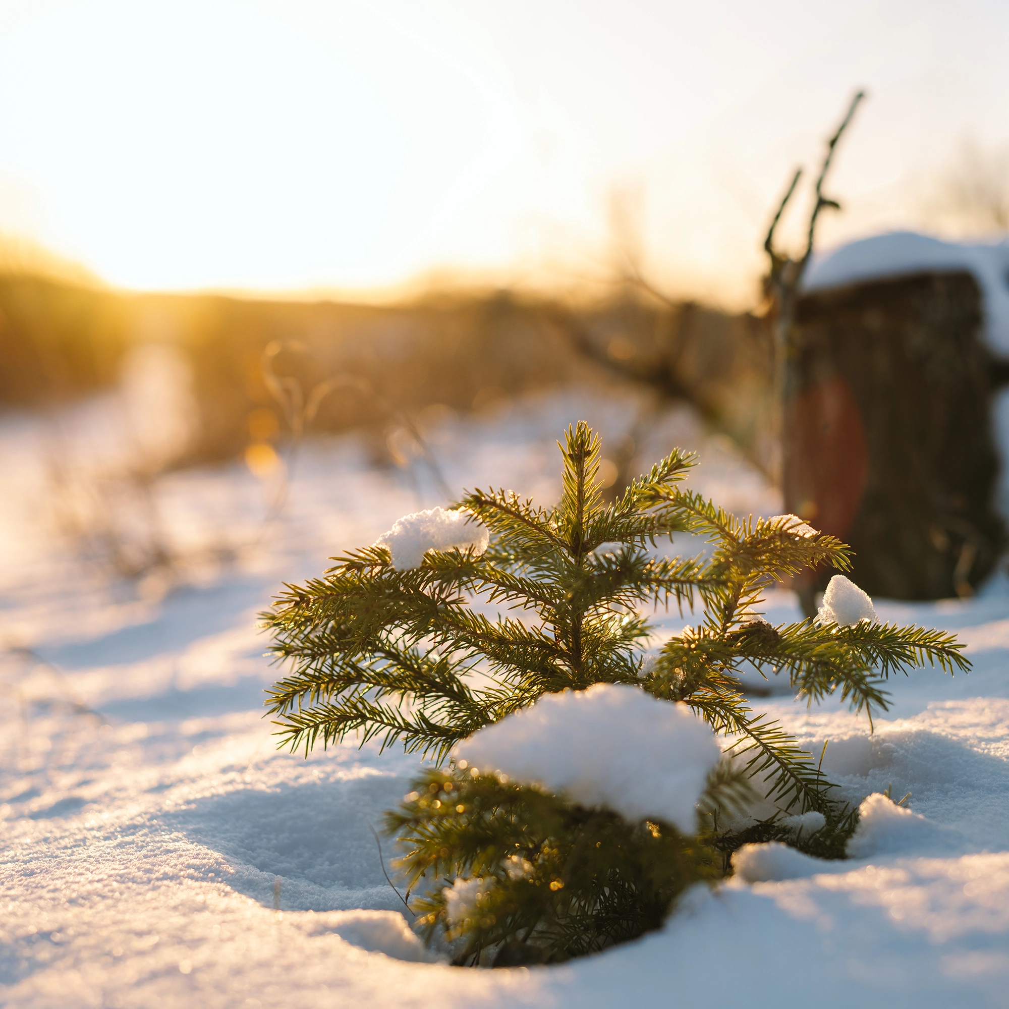 Fotograf Design Westerwald Fotograf Design Westerwald