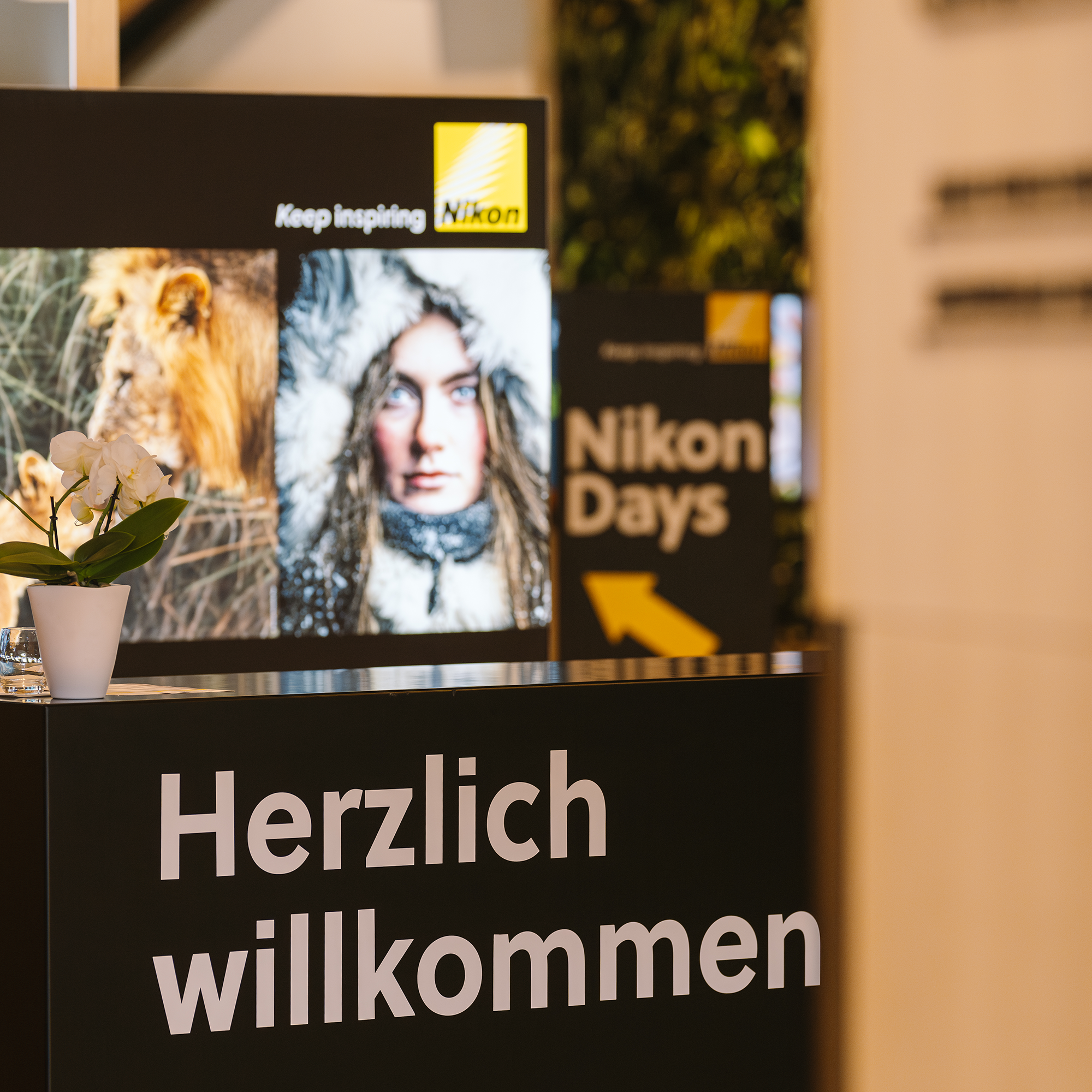 Nikon Professional Services | Nikon